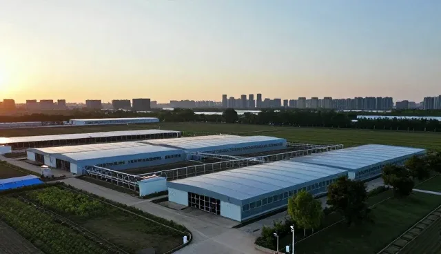 软件研发中方案设计的常见误区与优化策略